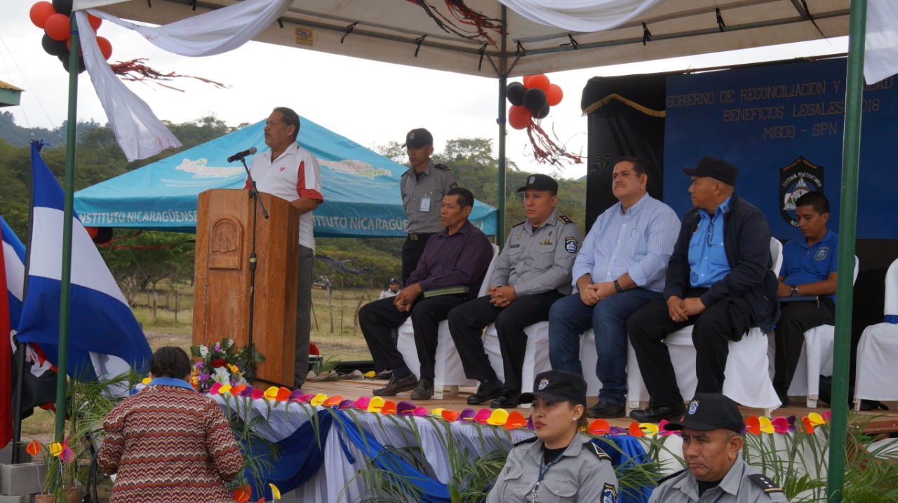 ESTELI1